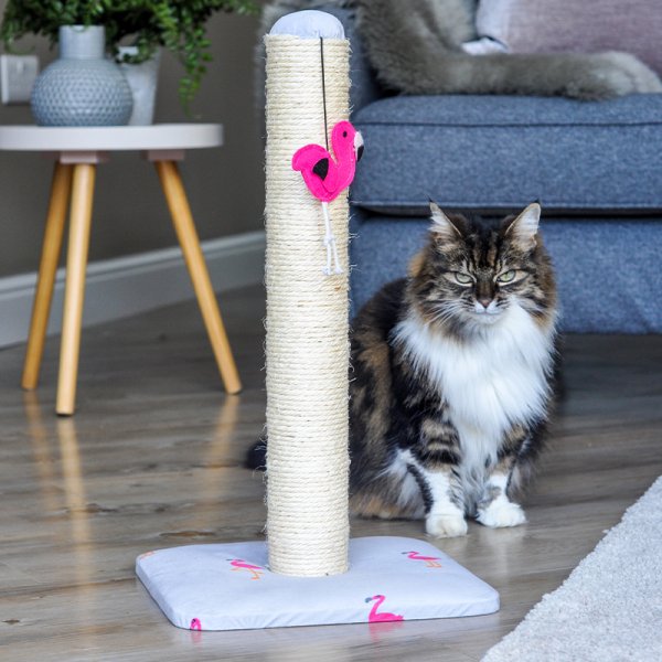 Cat scratching posts & pads - Various options Small to Extra Large - Zoon