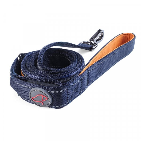 Glow in the dark, Flash & Go Rechargeable Dog Lead (120 x 2cm) - LED lights in collar