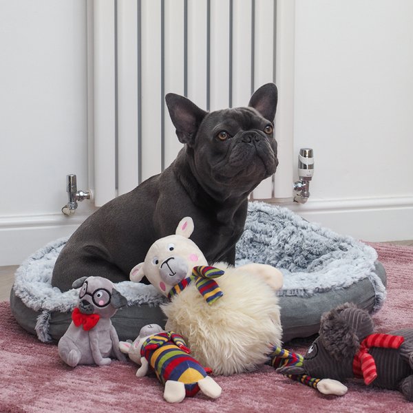 Donut Beds Cat & Dog - Many options to choose from