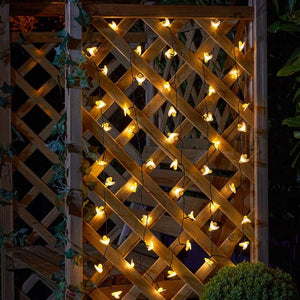 Buzzy Bee String Lights - Set of 50 lights 6.9m long