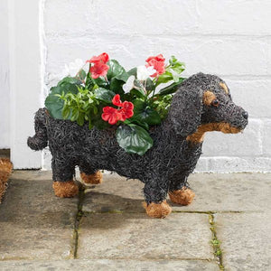 Sausage Dog Planter - 17 x 45 x 14 cm - Natural Rustic Planter -