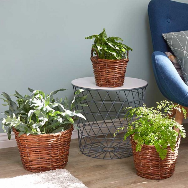 Décor Baskets - Trio -(Pack of three) Natural Baskets
