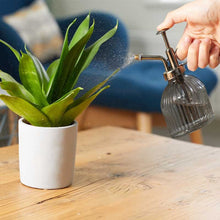 Load image into Gallery viewer, Plant Mister - 250ml - Durable slate grey glass construction
