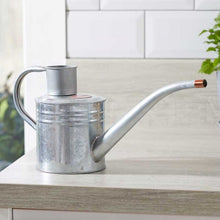 Load image into Gallery viewer, Home and Balcony Watering Can - Grey, White, Green, Purple, Galvanised  Colour 1L
