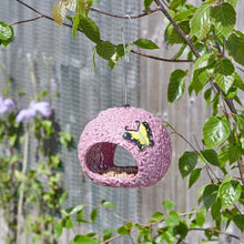 Load image into Gallery viewer, Allium Fly-Through Feeder - Decorative Feeder - Bird - Animal Feeder - Bird seed feeder - Fly through
