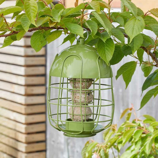 Acorn Squirrel Proof Bird Feeder | Suet Ball, Seed & Peanut Options