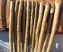 Load image into Gallery viewer, Hazel 3.8cm (1 1/2") diameter - Posts, Zales, Sails, Stakes.  Pointed or non-pointed sold Individually
