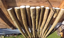 Load image into Gallery viewer, Hazel 3.8cm (1 1/2") diameter - Posts, Zales, Sails, Stakes.  Pointed or non-pointed sold Individually
