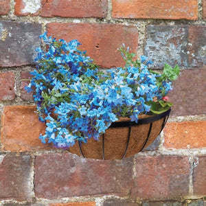 16" inch 40cm  Wall Manger - With coir liner