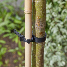 Load image into Gallery viewer, Plant &amp; Tree Ties - Easy use, strong &amp; Flexible - various sizes
