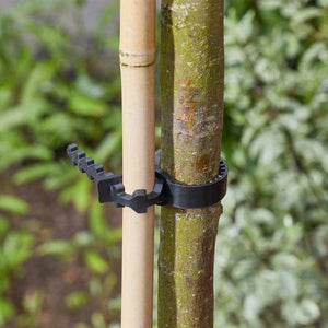 Plant & Tree Ties - Easy use, strong & Flexible - various sizes