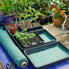 Load image into Gallery viewer, Capillary Matting - Plant Moisture Mat - Germination Tray Liner - 0.6m wide choose length Smart garden - Green Hydrophile
