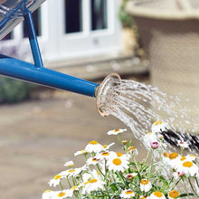 Load image into Gallery viewer, Replacement Spray Rose for the Smart Garden 4.5L Watering Can
