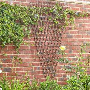 Expanding Heavy Duty Wooden Trellis plant support Slate Grey, Green, Tan Brown or Willow Various Options