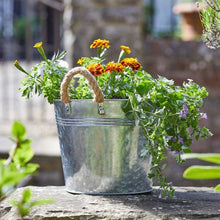 Load image into Gallery viewer, 9in Rustic Rope Handled Bucket Planter - Galvanised
