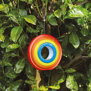 Rainbow Fly-Through Feeder Decorative Feeder - Bird  - seed, mealworm  - Fly through