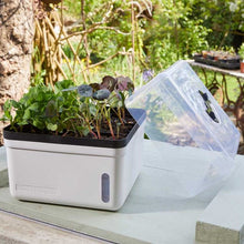 Load image into Gallery viewer, Perfect Propagator - GroZone Propagation - Self Watering Germination 17x24x24cm
