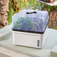 Load image into Gallery viewer, Perfect Propagator - GroZone Propagation - Self Watering Germination 17x24x24cm

