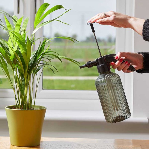 Pressure Mister, 1.2L - Smart garden products - Watering aid