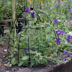 Gro-Cone 3 different sizes; 25Dia x 55cmH  38Dia x 55cmH, 30Dia x75cmH aid and support growing