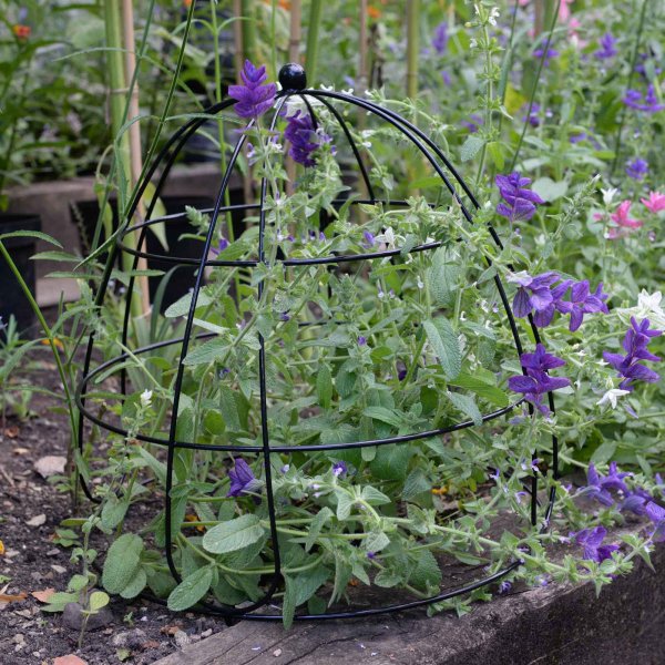 Beehive Plant Support 45cm Smart Plant Supports