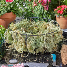 Load image into Gallery viewer, Sphagnum Moss - Large and Jumbo Natural moss for lining baskets to protect and aid plant growth
