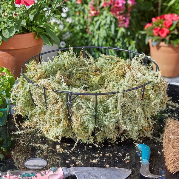 Sphagnum Moss - Large and Jumbo Natural moss for lining baskets to protect and aid plant growth