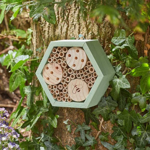 Hedgehog, Bug & Bee house, hotels, towers & Boxes - Safe place hedgehogs, bees & insects