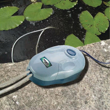 Load image into Gallery viewer, Solar Powered Pond Water Oxygenator - W16 cm, depth 8 cm 10ft (3m) cable
