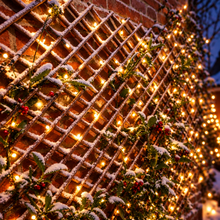 Load image into Gallery viewer, Christmas-up the Willow Expanding Trellis -  Add your own décor to this great garden feature
