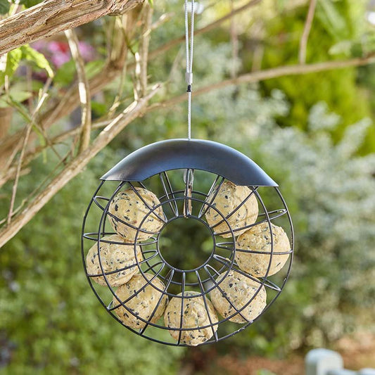 Ring Suet Ball Feeder Fat Ball Feeder