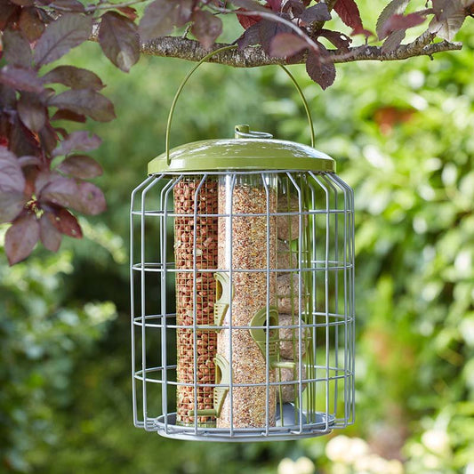 3-in-1 Squirrel Proof Bird Feeder – Seeds, Peanuts & Suet Balls