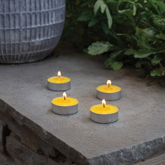 Citronella Tea Lights | 50 Pack | Up to 4 Hour Burn Each | Outdoor Garden & Patio