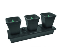 Load image into Gallery viewer, Smart Garden Capillary Matting - Plant Moisture Mat - Germination Tray Liner - 0.6m wide choose length - Green Hydrophile
