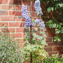 Load image into Gallery viewer, 5 x 1.2m (4ft) Willow Gro-Stakes Plants support with Speared-end 5 Pack
