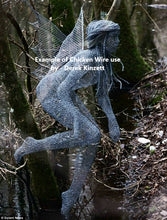 Load image into Gallery viewer, Fencing Galvanised Hexagonal Wire Netting, pet and chicken wire. 1m &amp; 0.5m tall various size options

