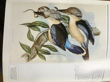 Load image into Gallery viewer, Sotheby’s Preview February March 1982 No.16
