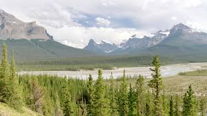 PS (A Collection of Poetry) Paperback â€“ 1 Jan. 1976 by Hilary Llewelyn MacAnna, Padraic Berry, James; Adams, Anna; Rumens, Carol; Williams