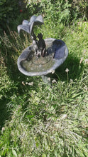 Load and play video in Gallery viewer, Frog Frolics!  - Frog Solar Powered Water Fountain - No Mains required - Water Feature
