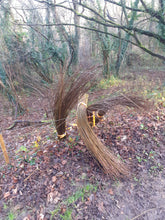 Load image into Gallery viewer, 20 x 120cm living willow whips, rods - Fresh cut to order - bean pea poles, rods, stakes, sticks, living structure or fencing. Fresh flexible

