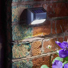 Load image into Gallery viewer, Premier Fence, Wall and Post Light, 10 Lumen 4.5 x 7.5 cm
