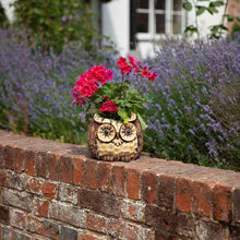 Load image into Gallery viewer, Owl Planter - Plant Pot - Wood Effect Planter
