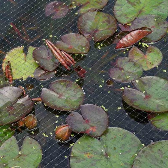 Pond & Fruit Cage Netting, from a 2m wide Roll Black, with a 12mm gap (Heron proof)