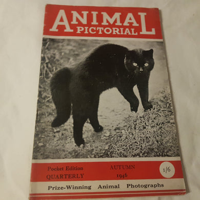Animal Pictorial. Autumn 1946. Paperback.