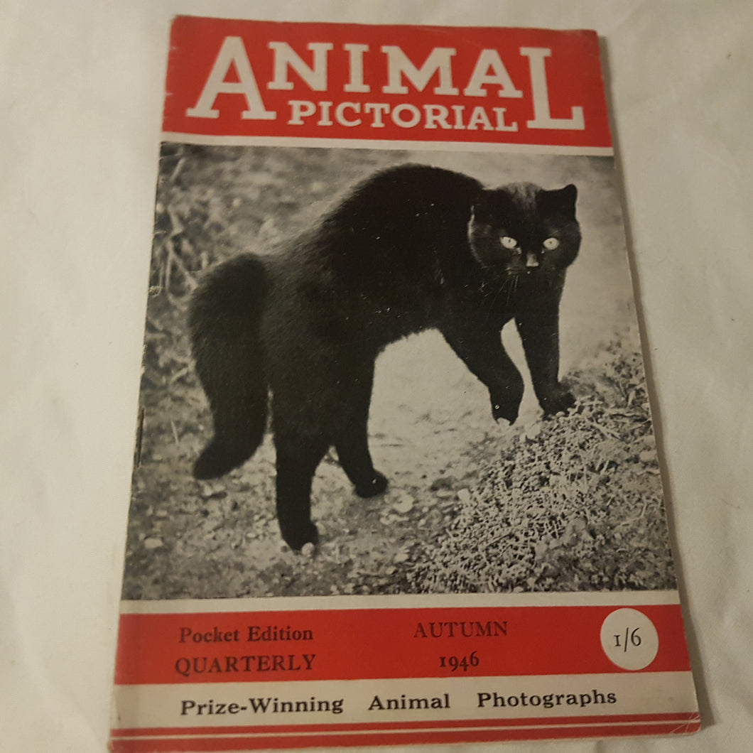 Animal Pictorial. Autumn 1946. Paperback.