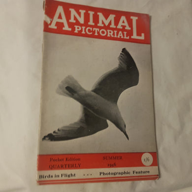 Animal Pictorial. Summer 1946. Paperback.