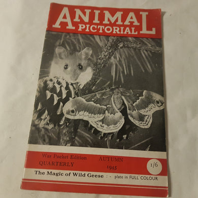 Animal Pictorial. Autumn 1945. Paperback.