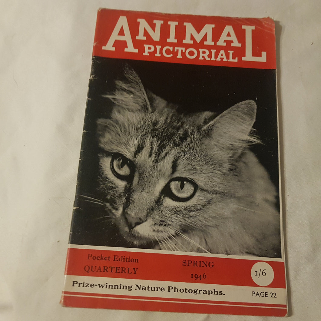 Animal pictorial. Spring 1946. Paperback.