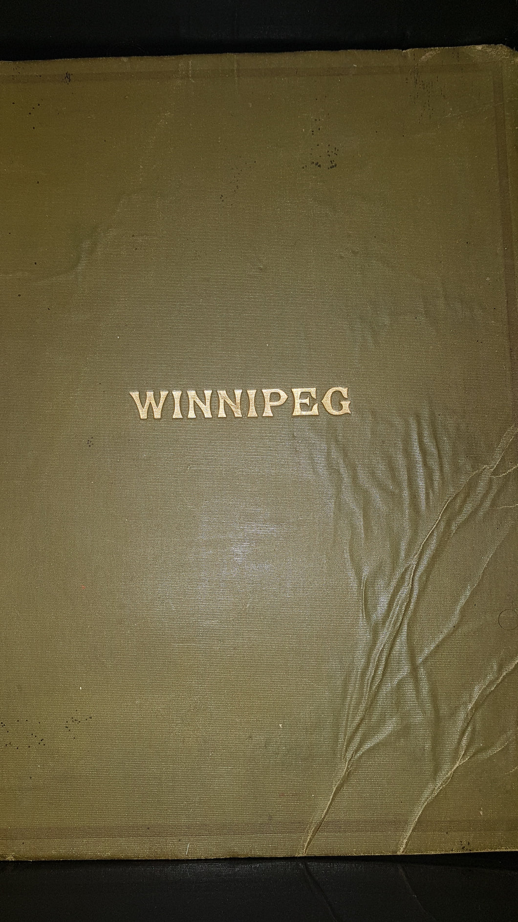 An Historical Souvenir Diary of the City of Winnipeg, etc. With illustrations [Unknown Binding] Fred. C. Lucas