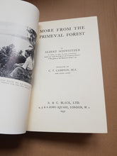 Load image into Gallery viewer, More from the primeval forest
